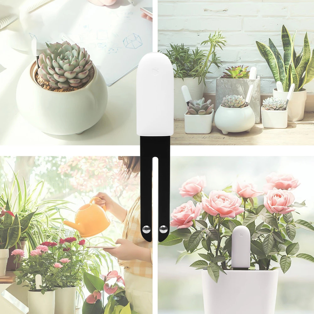 Smart Garden Xiaomi - HHCC Smart Flower Flora Monitor Garden