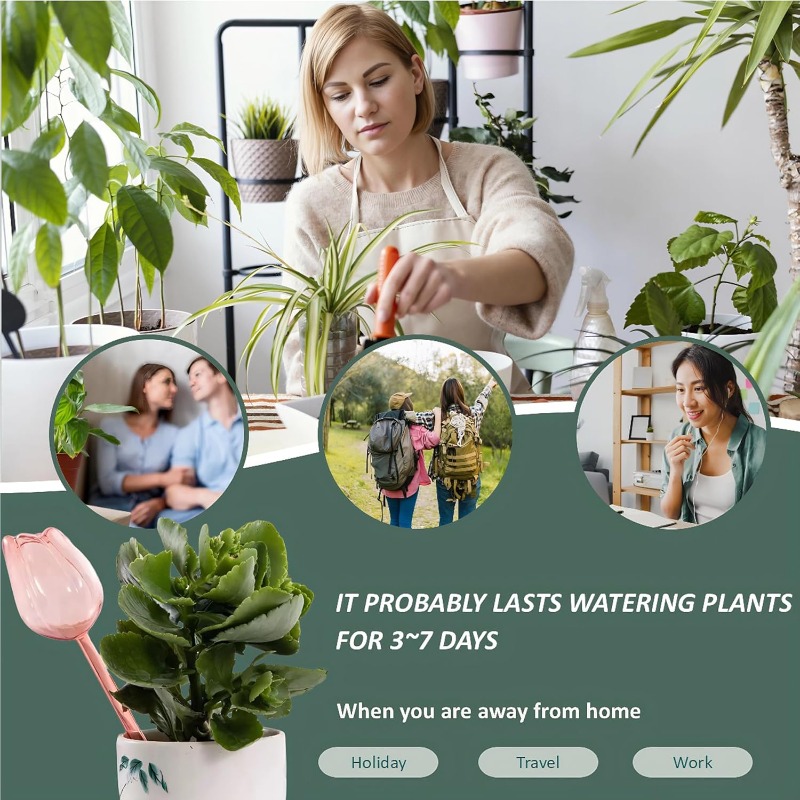 Pink Tulip Plant Watering Ball - Plant Watering Globe recensie en prijs