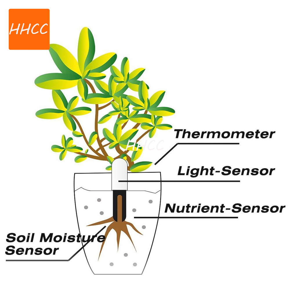 HHCC Smart Flower Monitor Flor - Smart Garden Xiaomi recensie en prijs