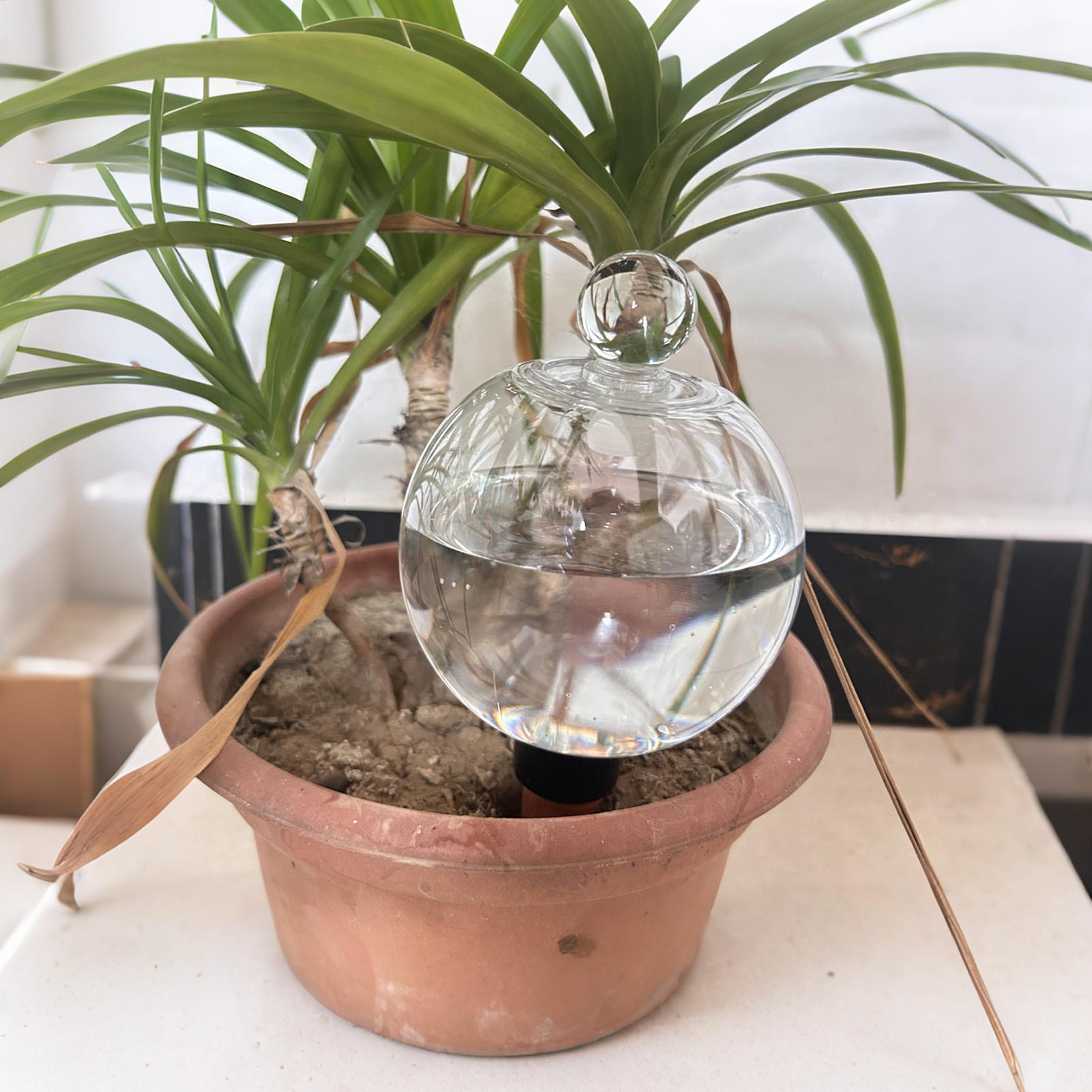 Plant Watering Bulbs 4pcs 500m - Plant Watering Globe recensie en prijs