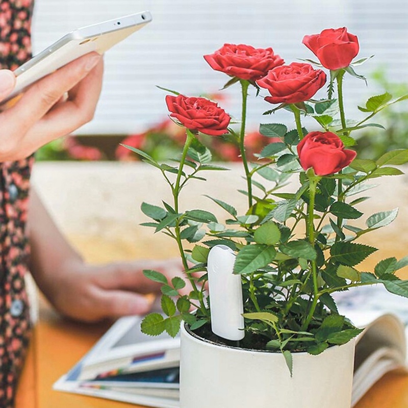 HHCC Flower Monitor Flora Gard - Smart Garden Xiaomi recensie en prijs