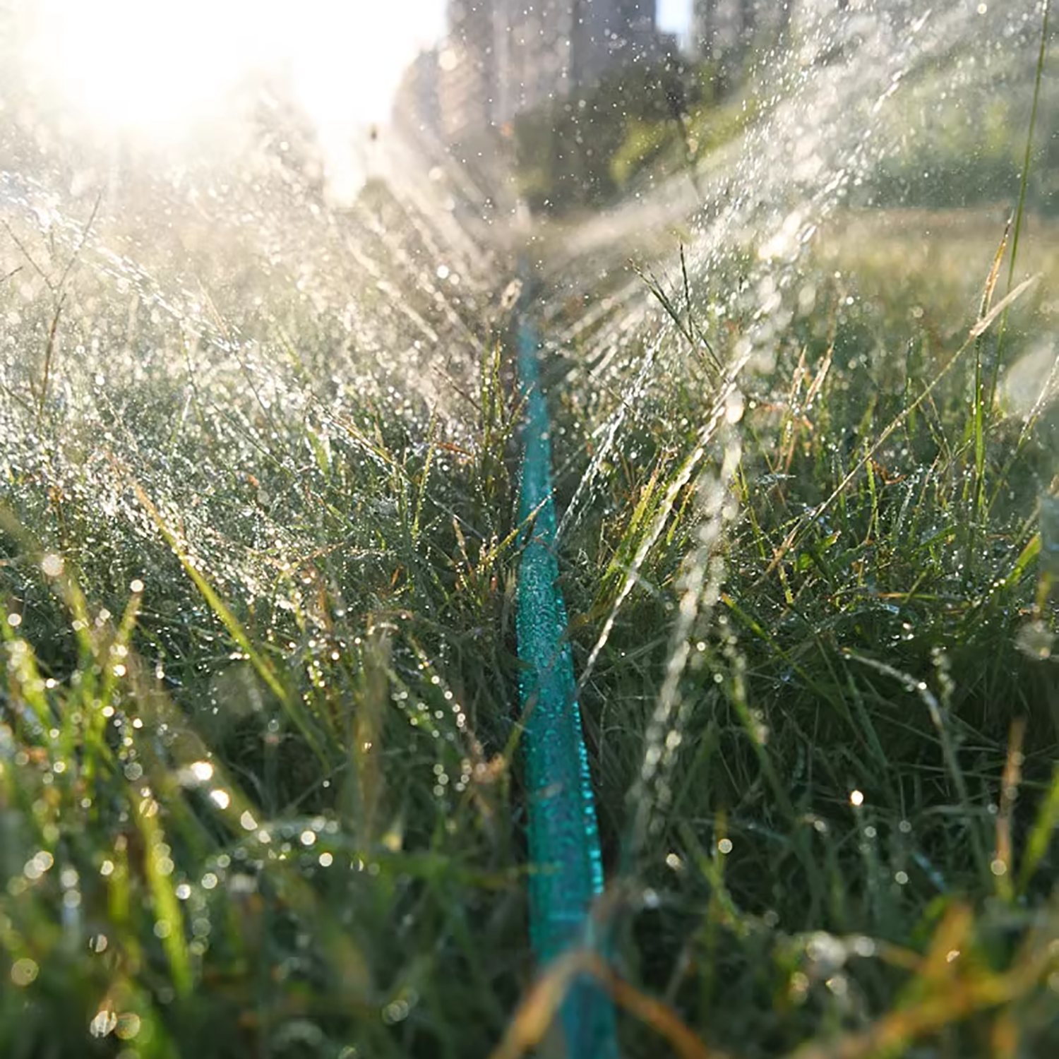 3/4.5/7.5/10/15M Porous Soaker - Smart Garden Watering recensie en prijs
