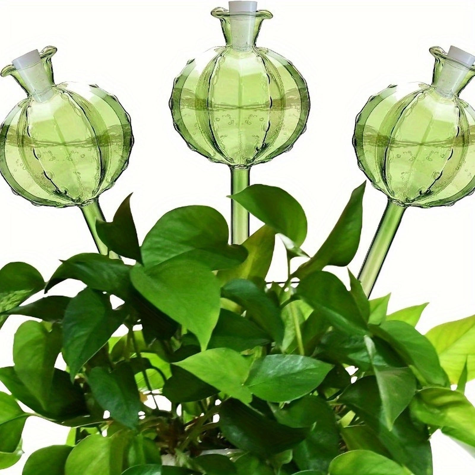 Plant Watering Globes Automati - Plant Watering Globe recensie en prijs