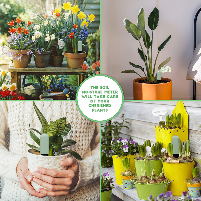 HHCC For Xiaomi Flower Care Sm - Smart Garden Xiaomi recensie en prijs