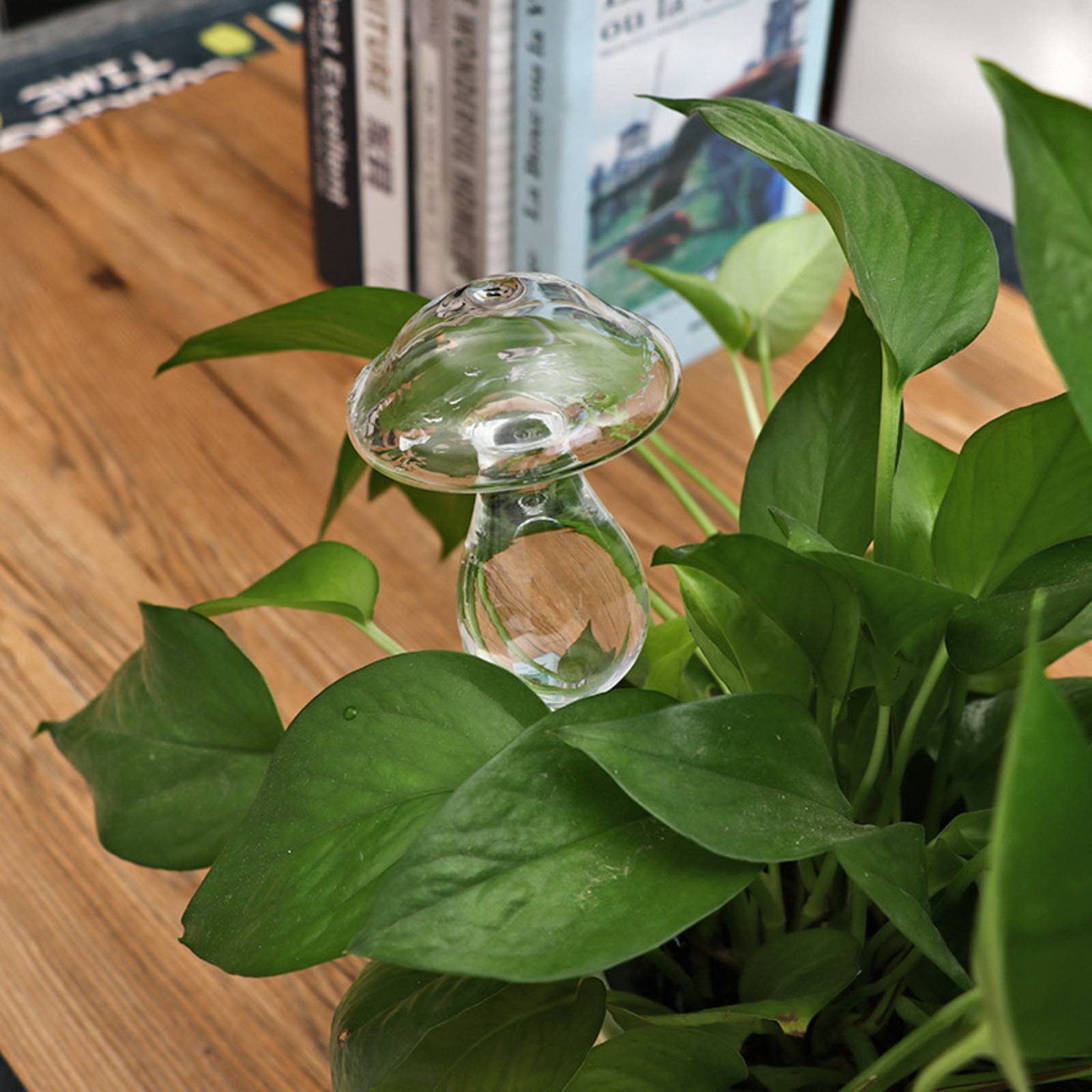 Automatic Plant Watering Globe - Plant Watering Globe recensie en prijs