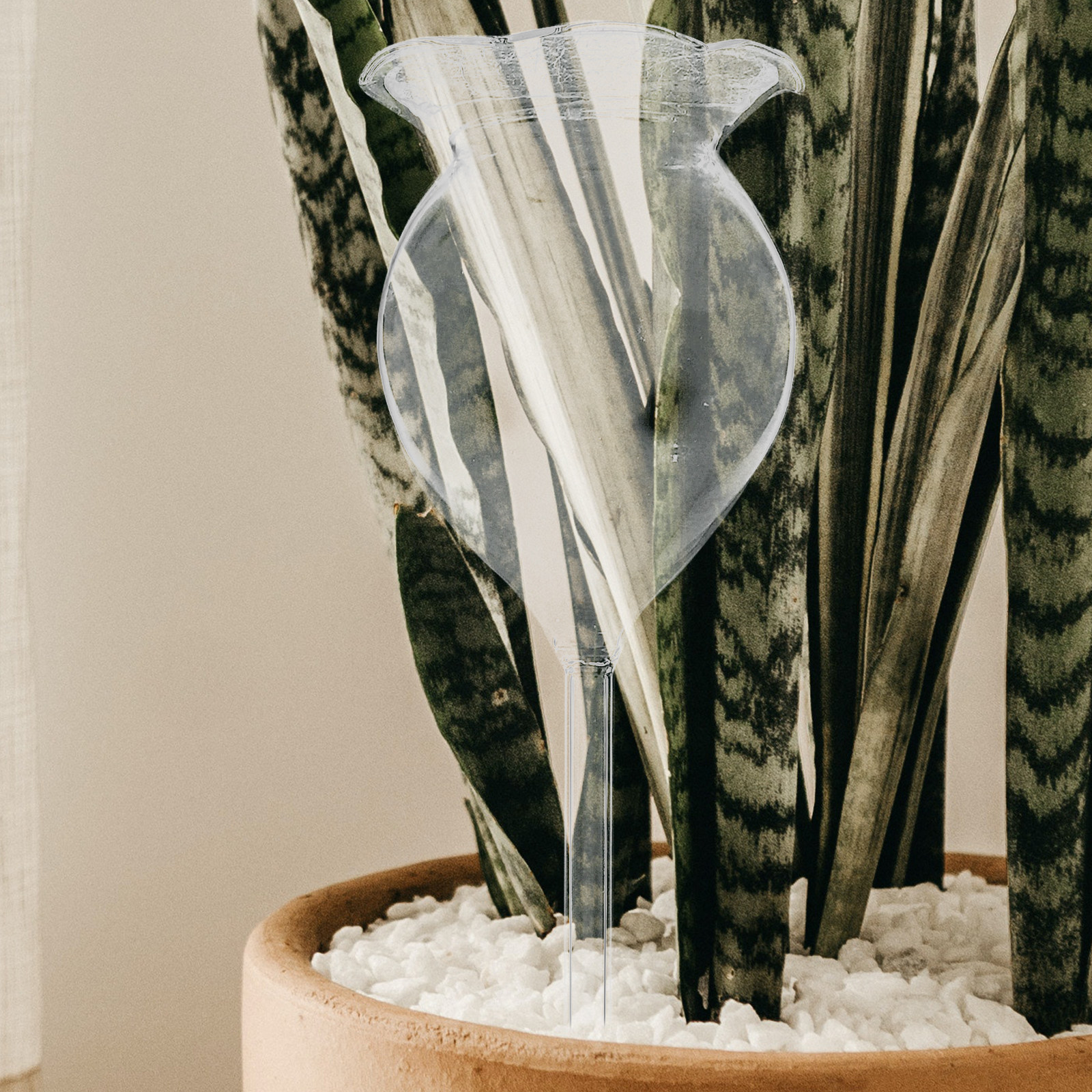 2Pcs Adorable Self Watering Gl - Plant Watering Globe recensie en prijs