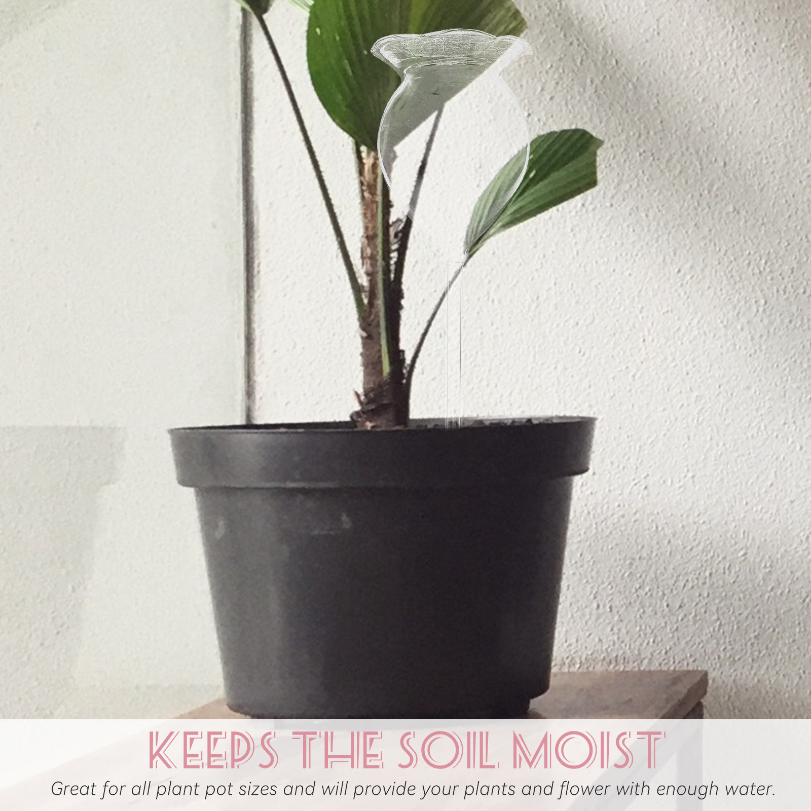 2Pcs Adorable Self Watering Gl - Plant Watering Globe recensie en prijs