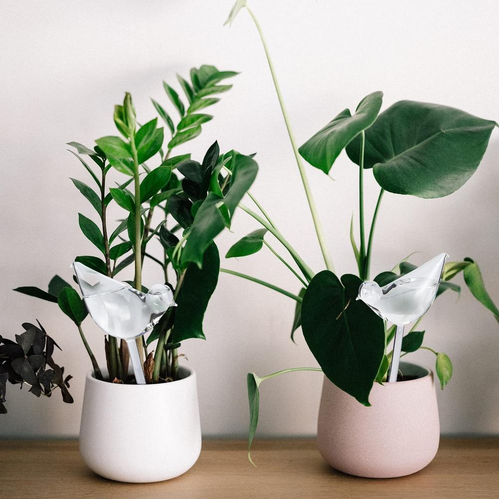 Automatic Plant Watering Bulbs - Smart Garden Project recensie en prijs