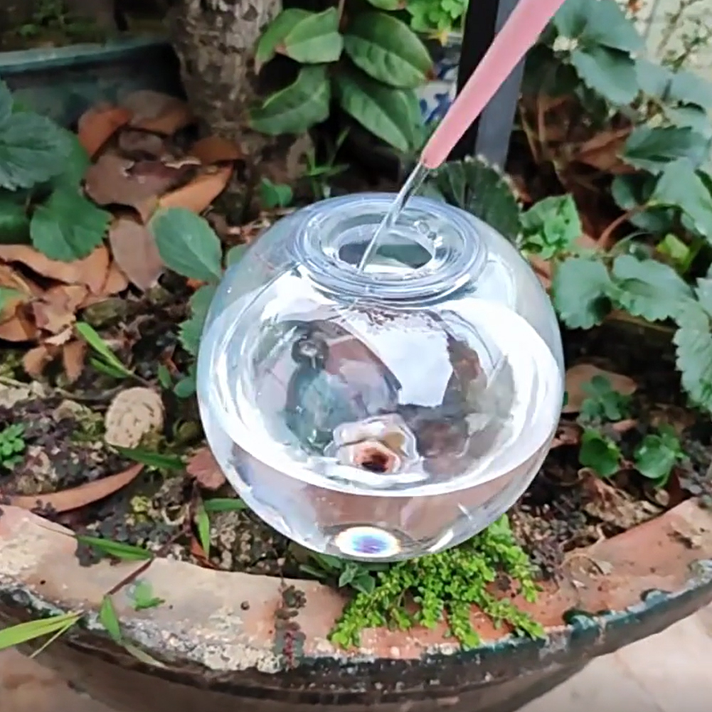 500ML Self Watering Globes Dri - Plant Watering Globe recensie en prijs