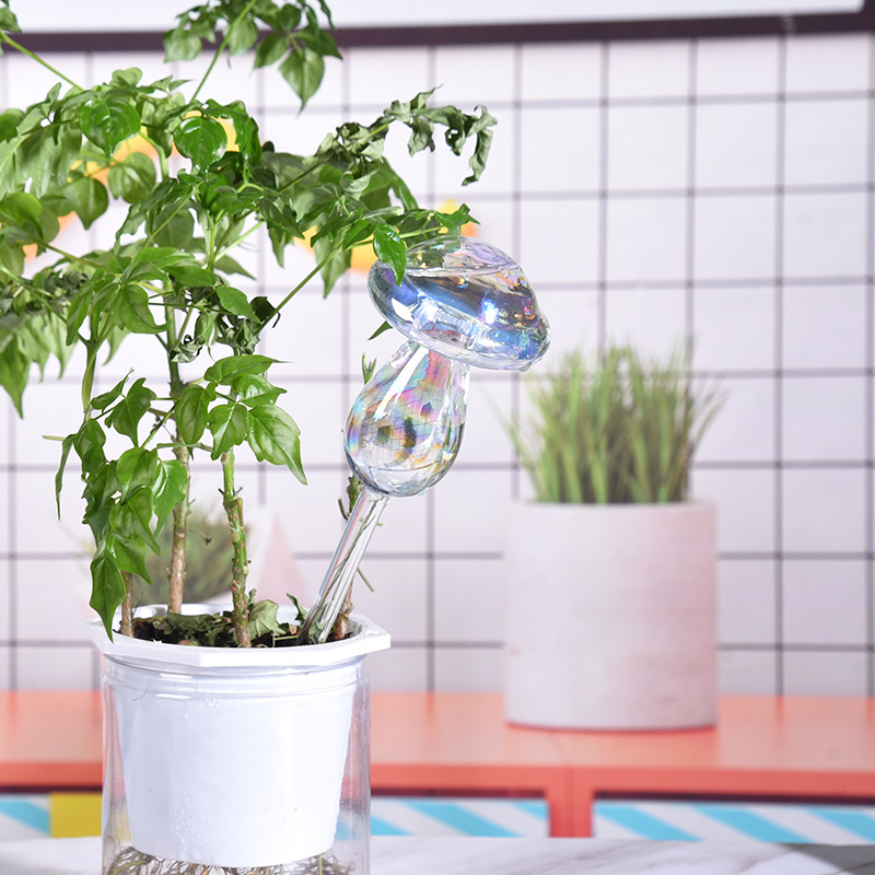 1/2PCS Glass Straw Automatic P - Smart Garden Project recensie en prijs