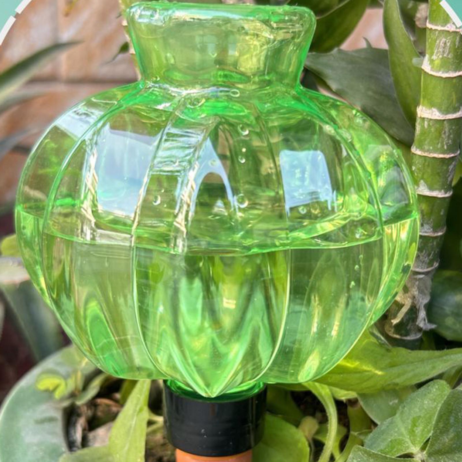 Plant Watering Globes 17Oz Aut - Plant Watering Globe recensie en prijs