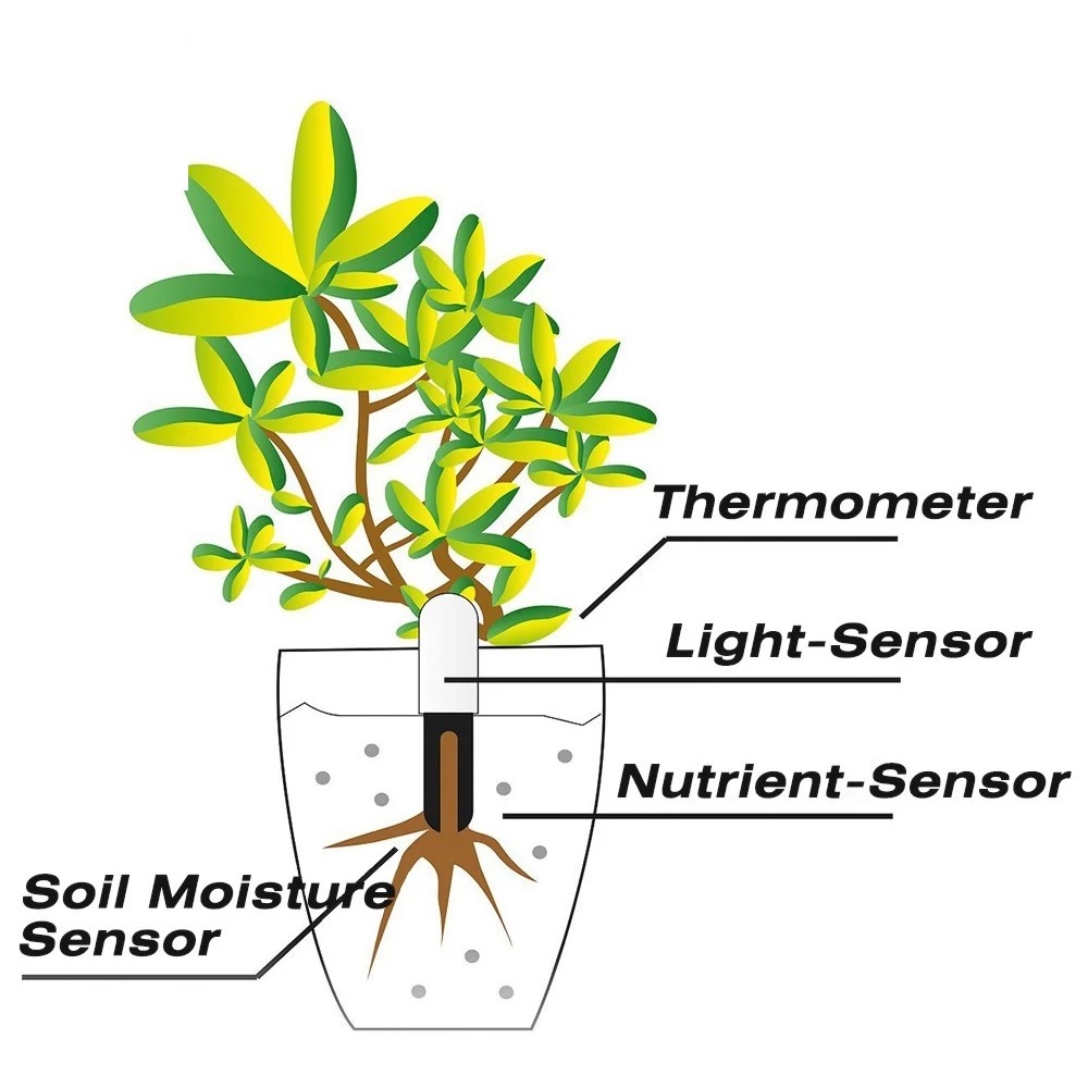 HHCC Smart Flower Flora Monito - Smart Garden Xiaomi recensie en prijs