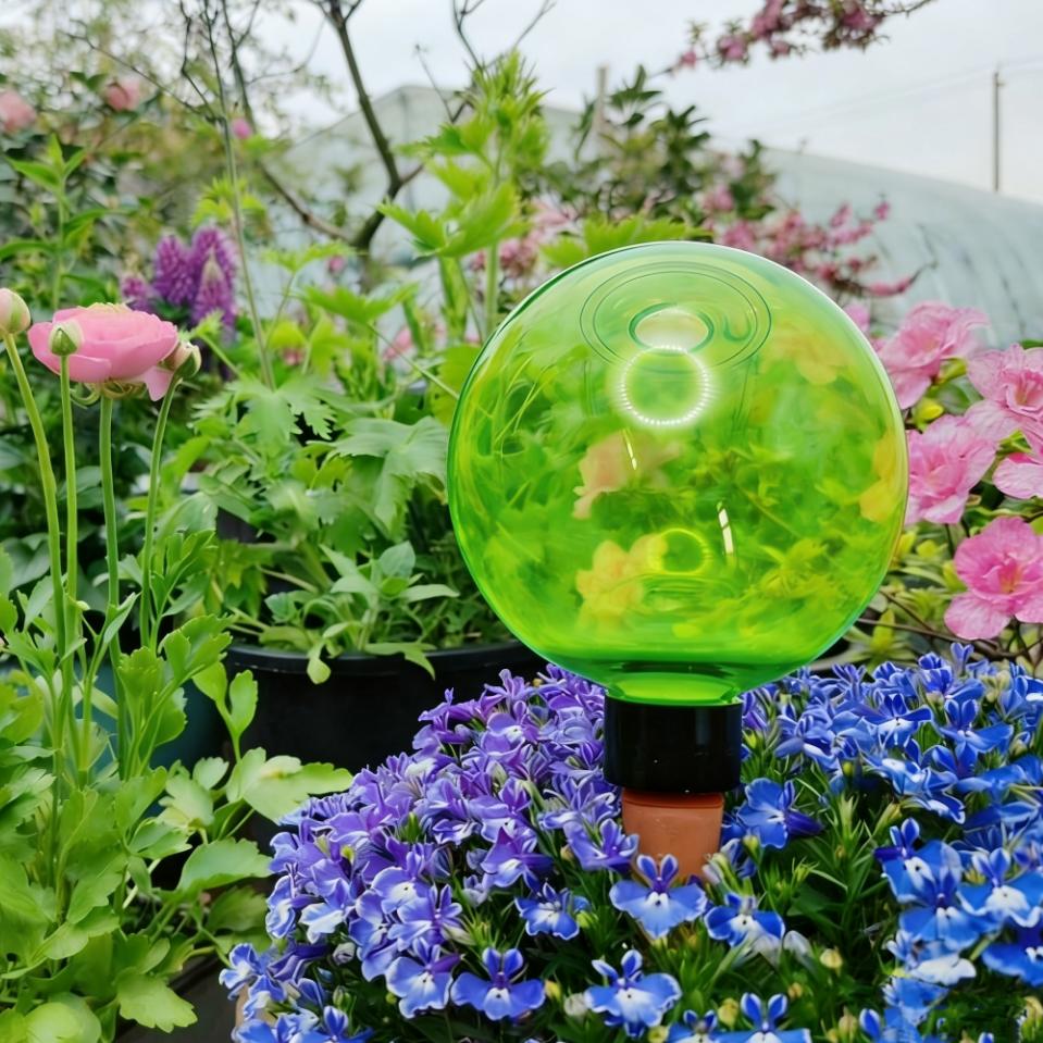 3pcs Large Plant Self Watering - Plant Watering Globe recensie en prijs