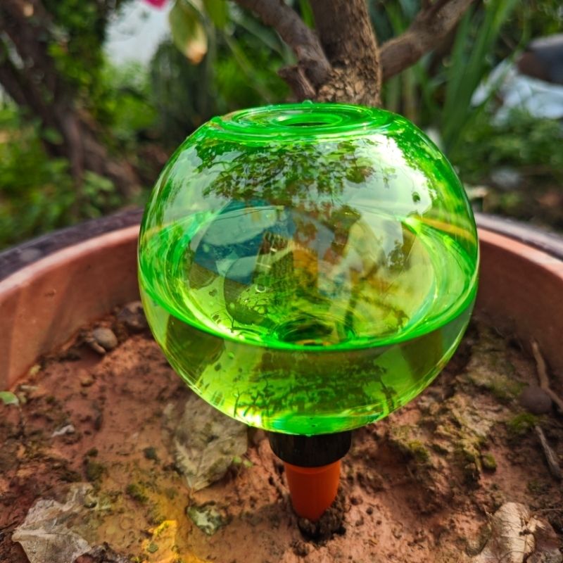 3pcs Large Plant Self Watering - Plant Watering Globe recensie en prijs
