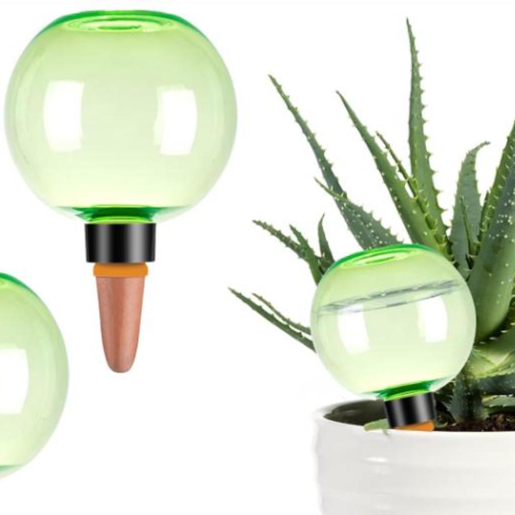 3pcs Large Plant Self Watering - Plant Watering Globe recensie en prijs