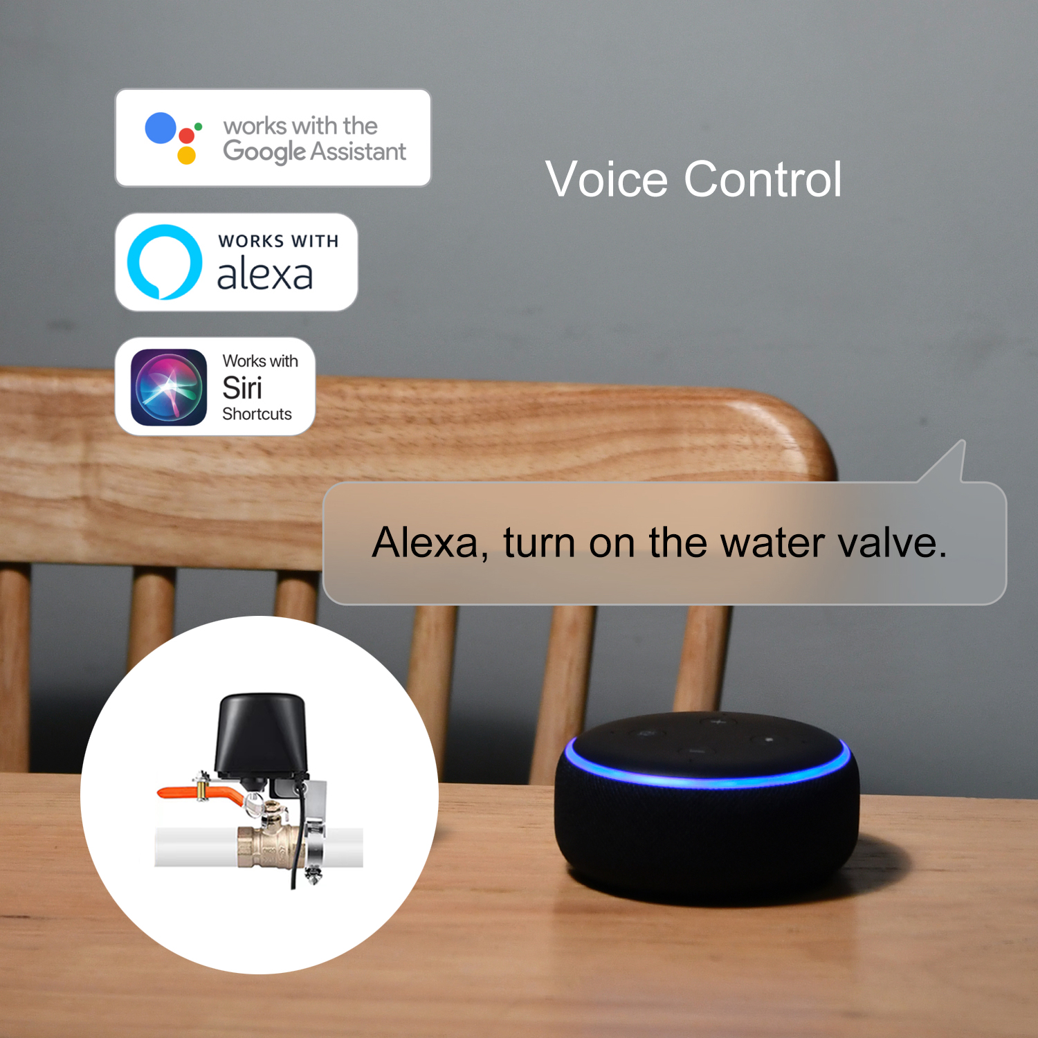 ZigBee Water/Gas Valve Remote  - Smart Garden Water Timer recensie en prijs