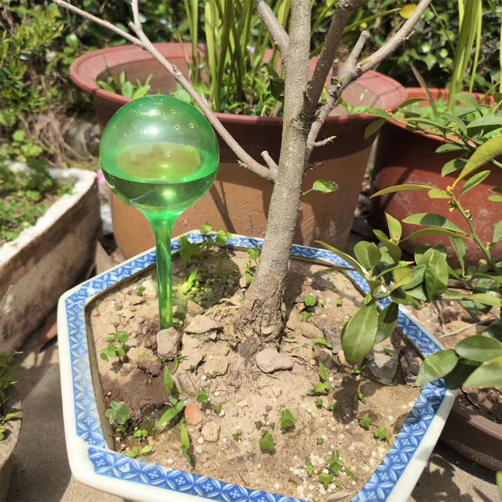 Automatic Plant Watering Bulbs - Smart Garden Project recensie en prijs