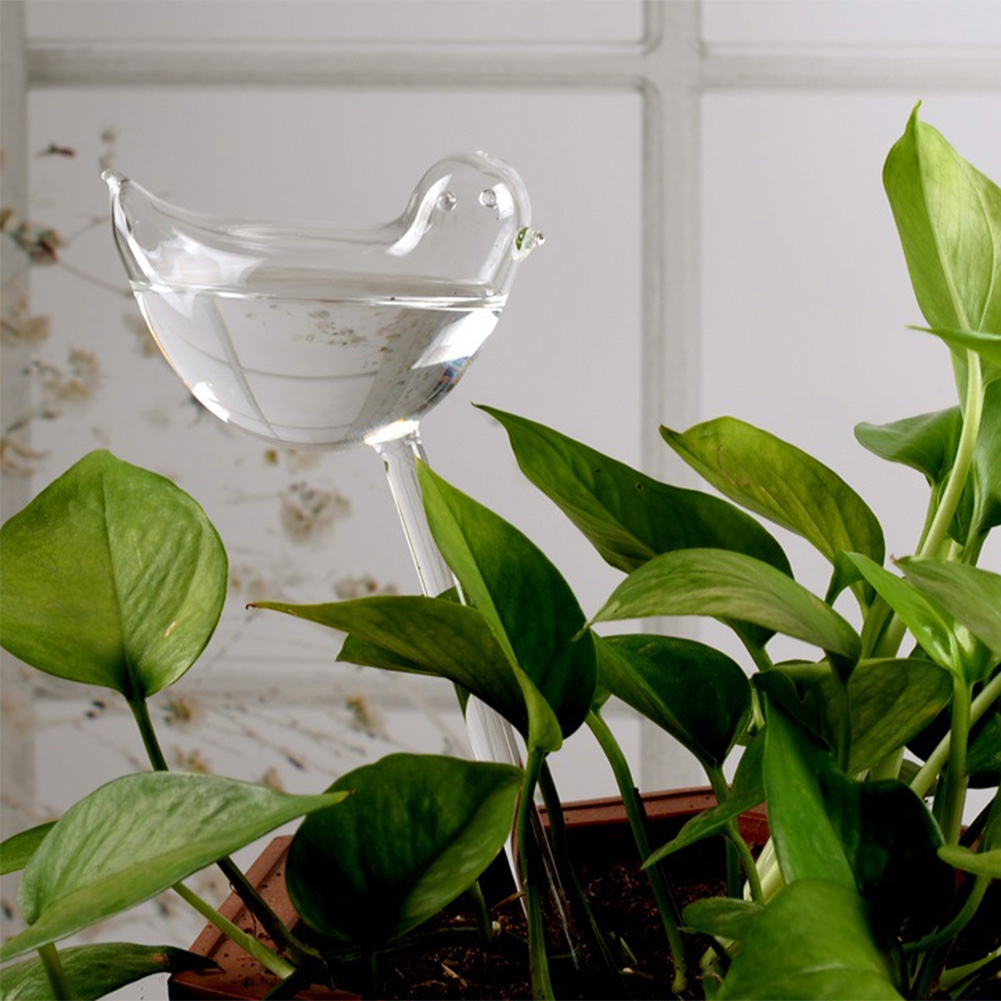 Automatic Plant Watering Bulbs - Smart Garden Project recensie en prijs