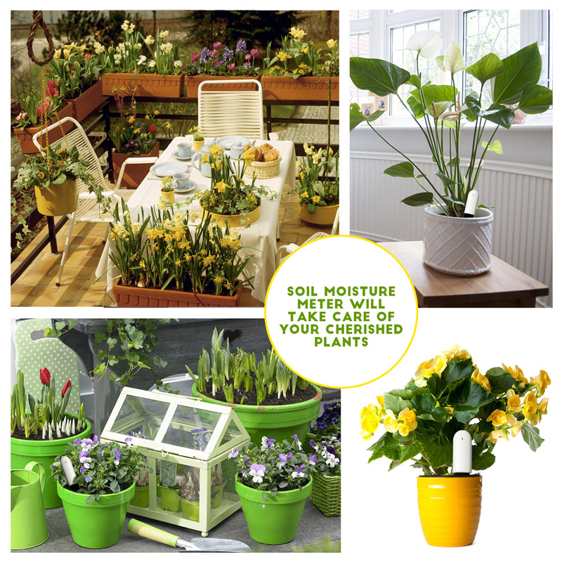 HHCC Flower Care Max Smart Pla - Smart Garden Xiaomi recensie en prijs