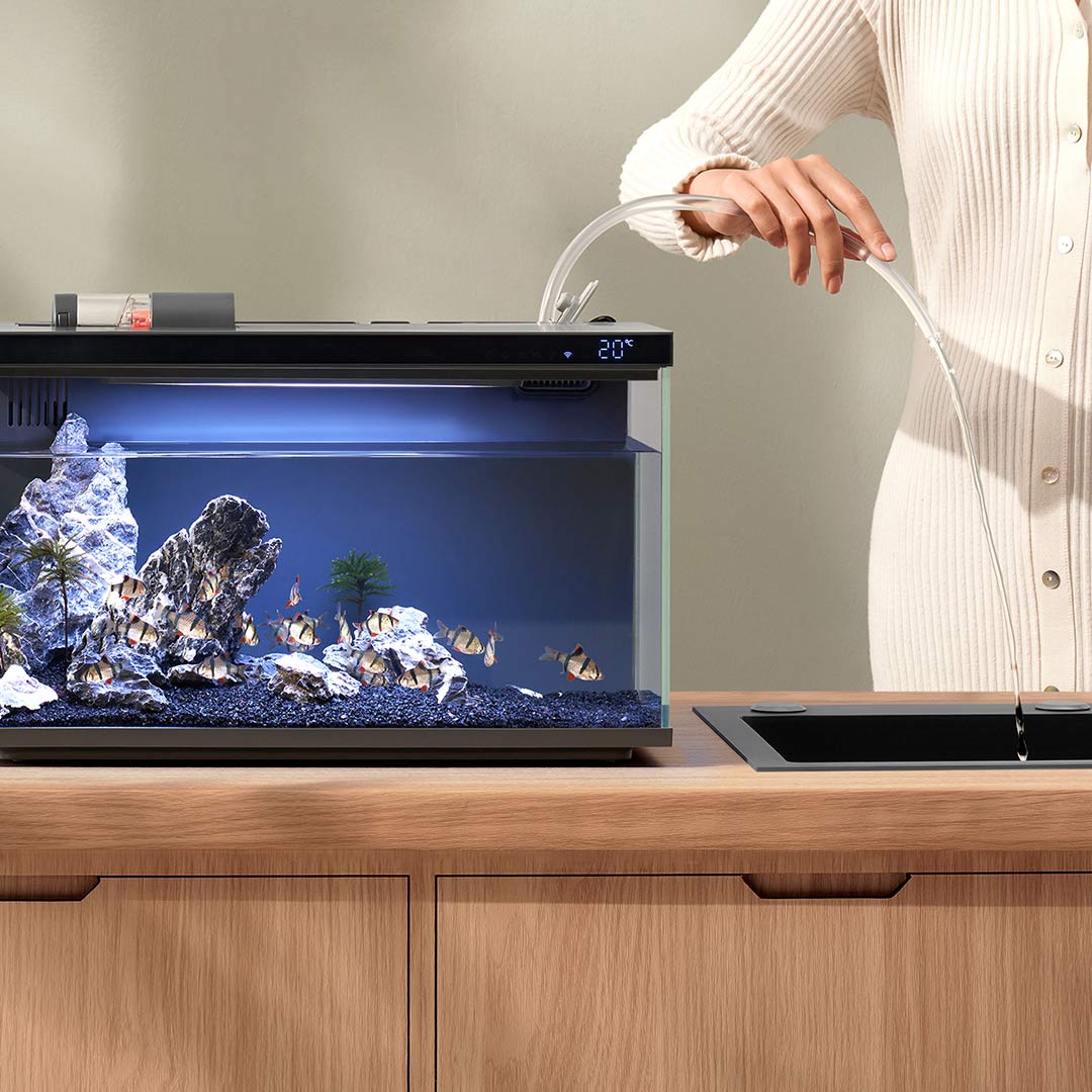 Xiaomi Mijia Smart Fish Tank M - Smart Garden Xiaomi recensie en prijs