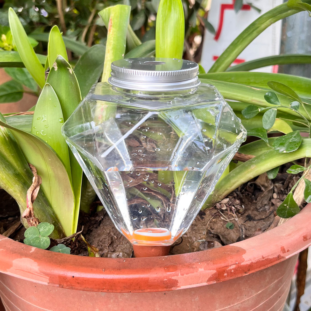 1pcs Cute Plastic Watering Mac - Plant Watering Globe recensie en prijs