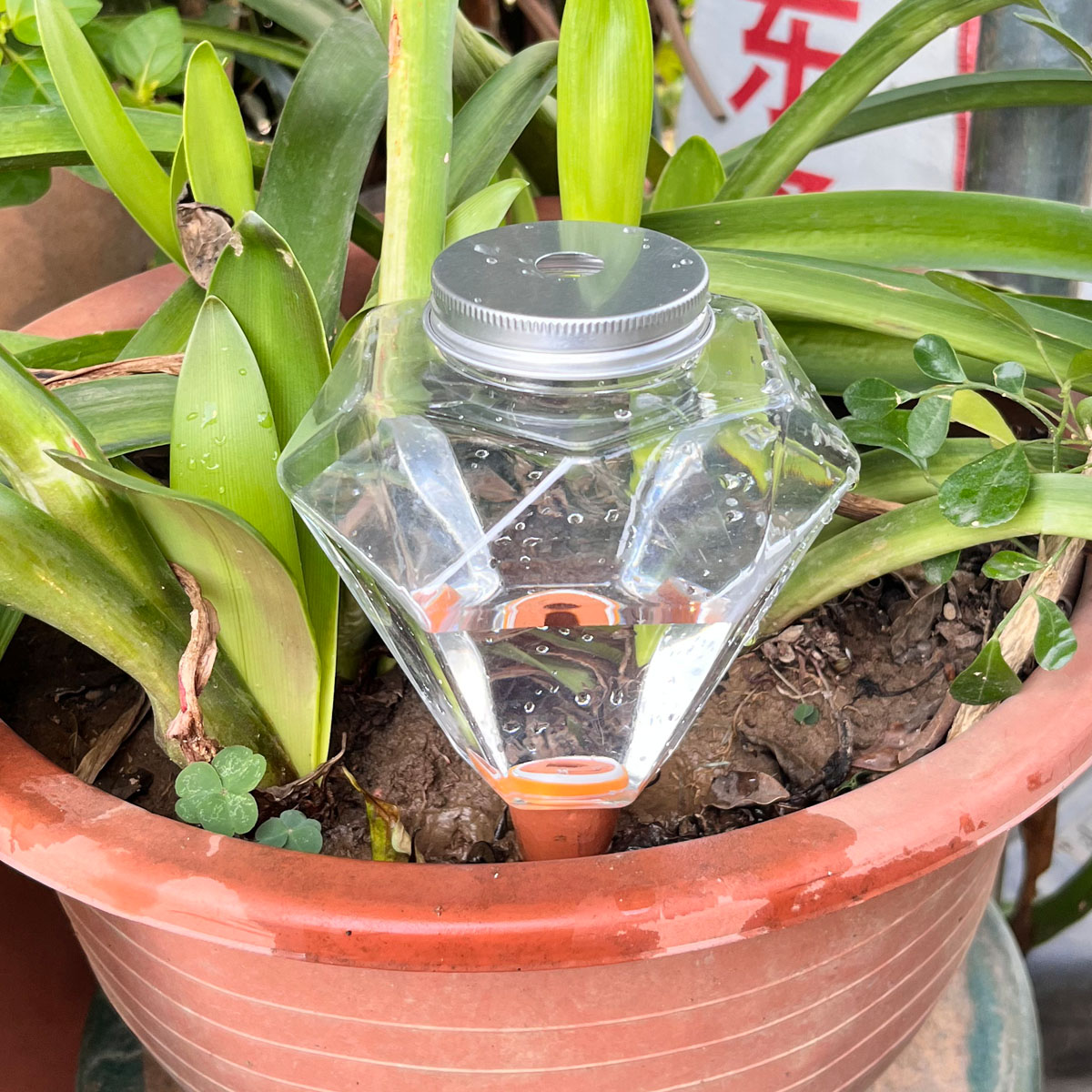 1pcs Cute Plastic Watering Mac - Plant Watering Globe recensie en prijs