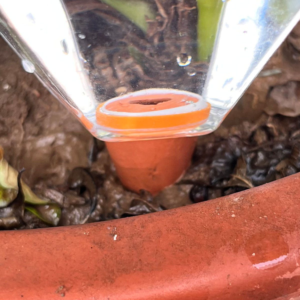 1pcs Cute Plastic Watering Mac - Plant Watering Globe recensie en prijs