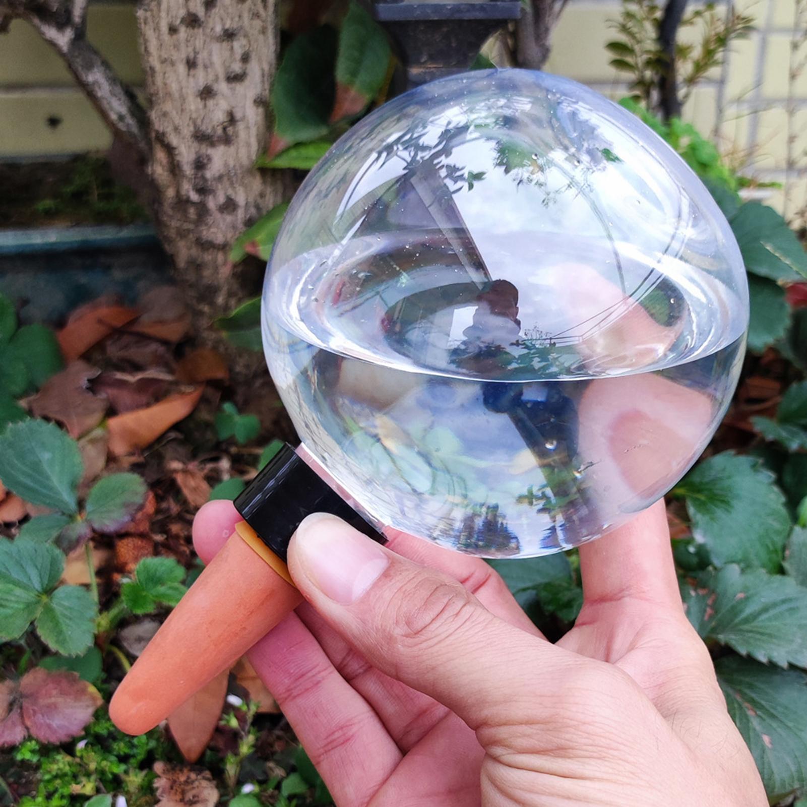 500ml Automatic Plant Watering - Plant Watering Globe recensie en prijs