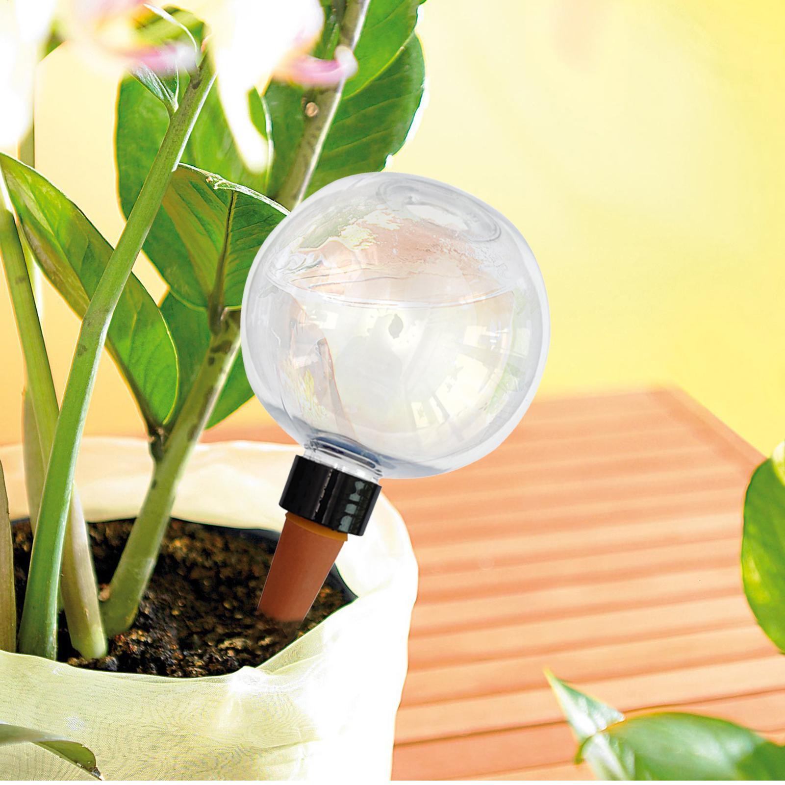 500ml Automatic Plant Watering - Plant Watering Globe recensie en prijs