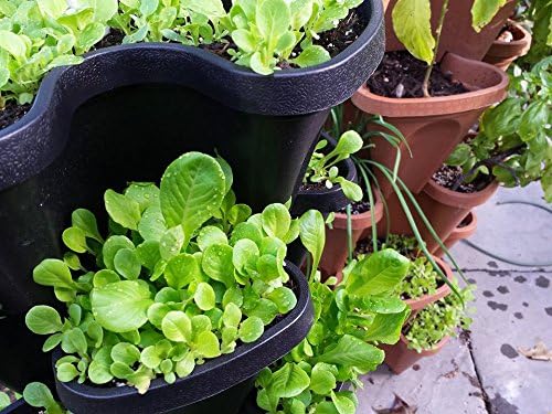 Smart Farm Automatic Self Wate - Smart Garden Watering recensie en prijs