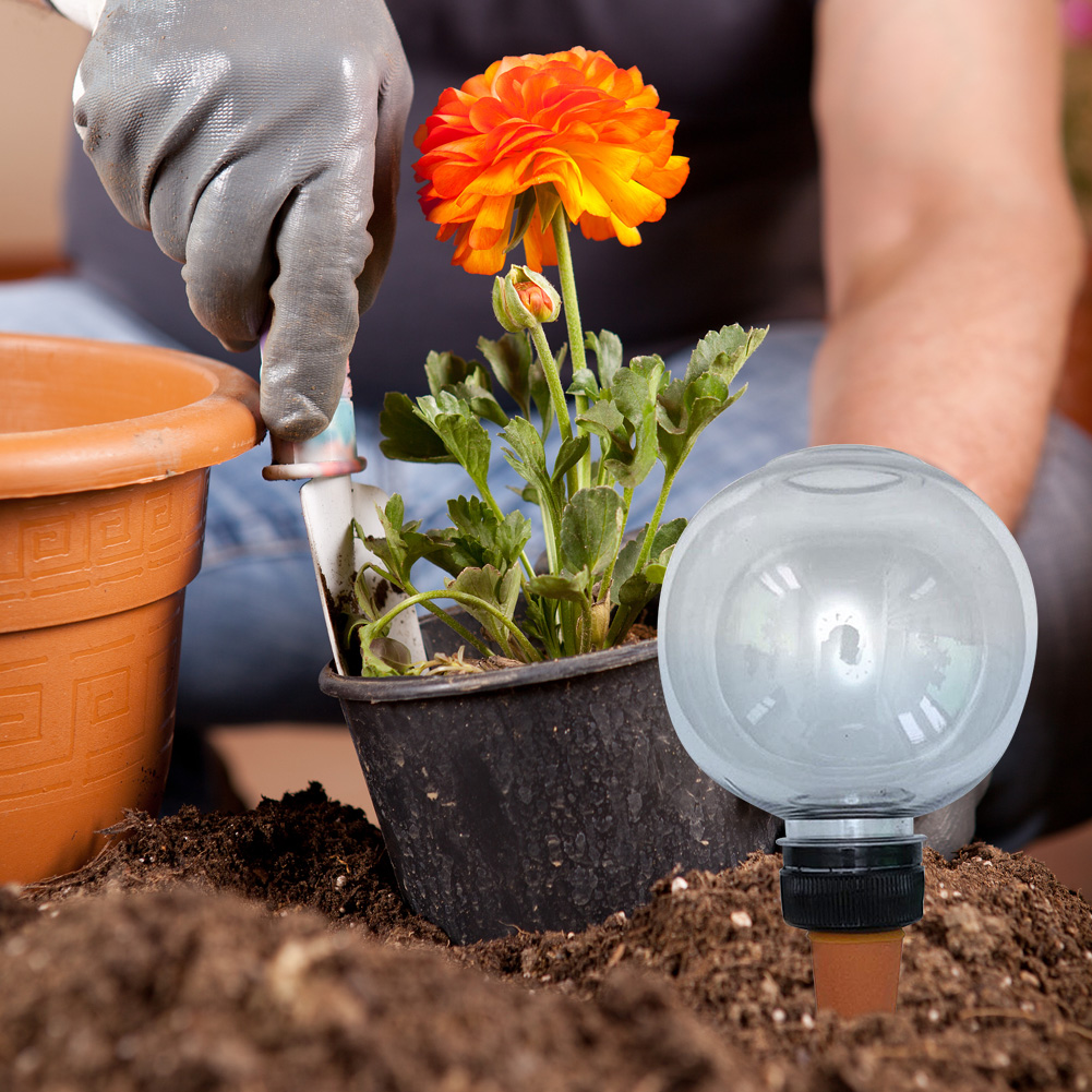 4Pcs 500ML Plant Watering Glob - Plant Watering Globe recensie en prijs