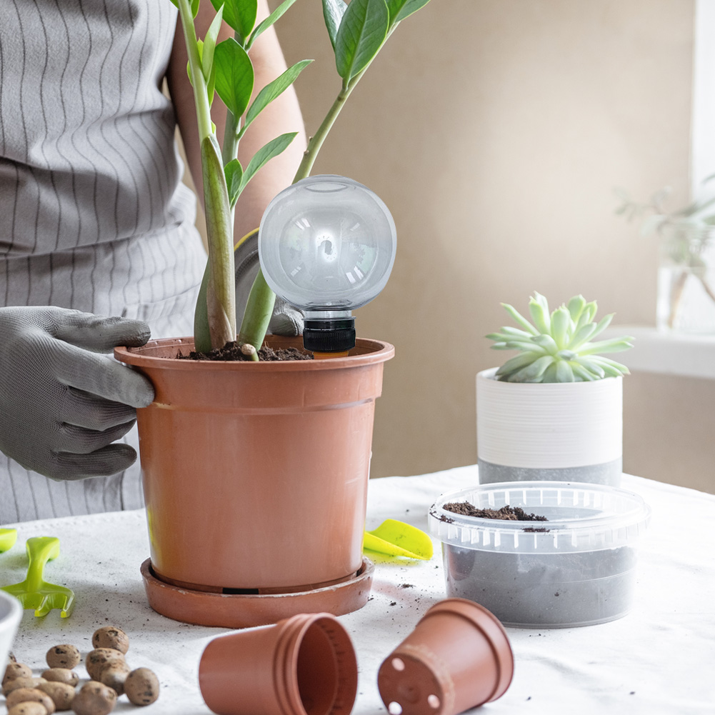 4Pcs 500ML Plant Watering Glob - Plant Watering Globe recensie en prijs