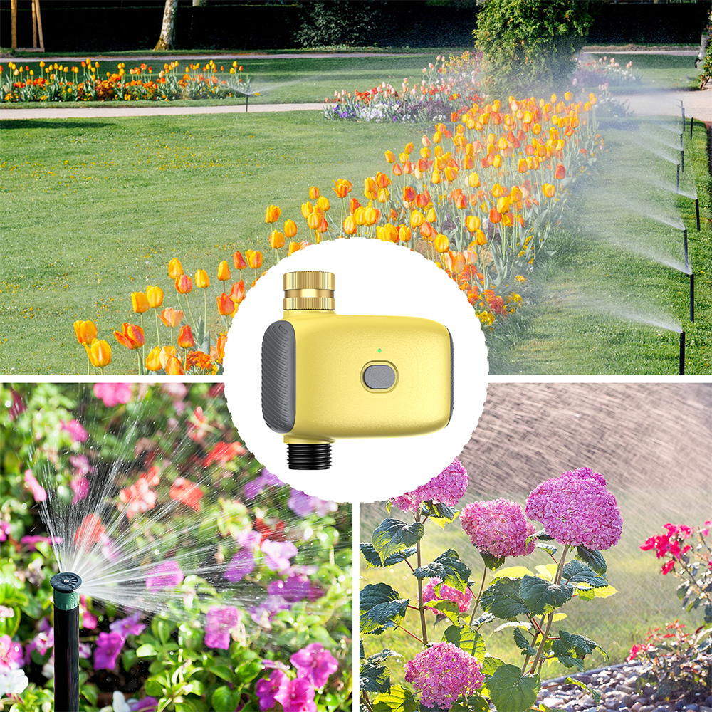 Wholesale Smart Digital  Water - Smart Garden Watering recensie en prijs