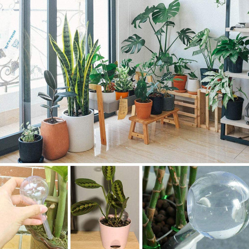 5/10PCS Automatic Plant Wateri - Plant Watering Globe recensie en prijs