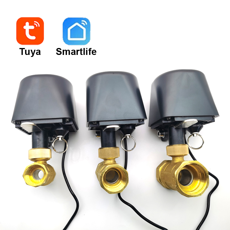 Tuya WiFi or Zigbee Water Valv - Smart Garden Water Timer recensie en prijs